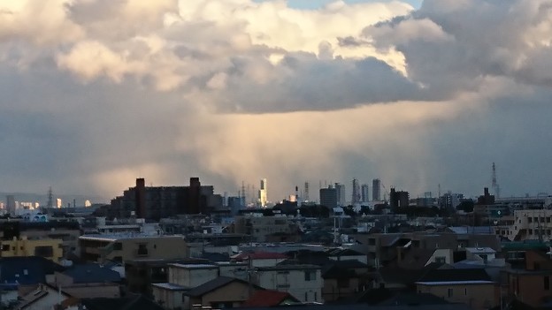 ハルカスにスポットライト