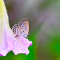 雨上がり・・・・・