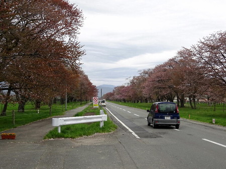 170510-02二十間道路