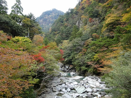 171110-20安居渓谷