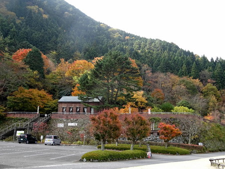 171109-07ちょっと紅葉