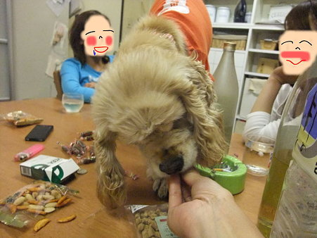 みんな酔っぱらってるのでテーブルの上に乗っていても誰も怒らない