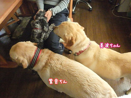 身体で判断