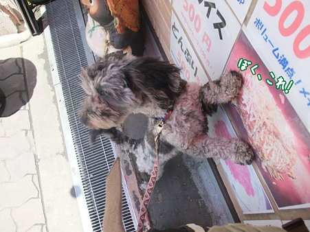 ぼくこれ!