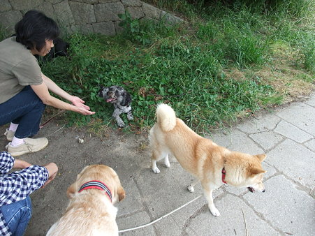 愛されキャラ