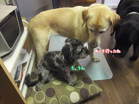 春馬も動かないまま