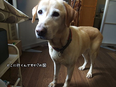 どこに行くの?