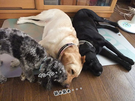 変態ぶり発揮