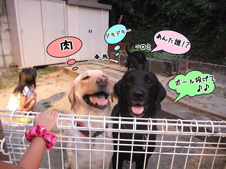 それぞれの思い