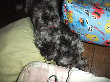 zzz・・・