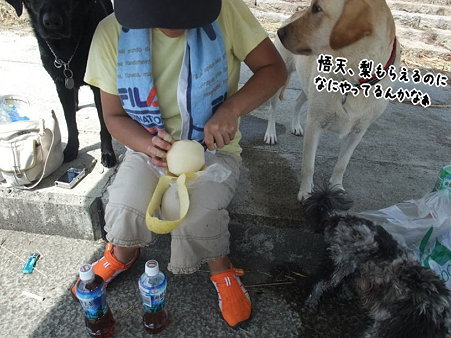 妹に心配させる悟天