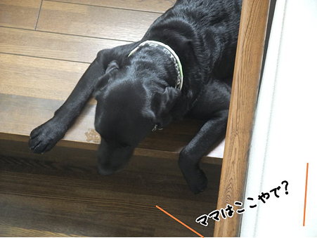 考え中?