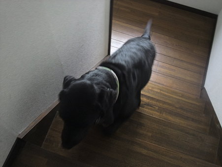 あがってきた