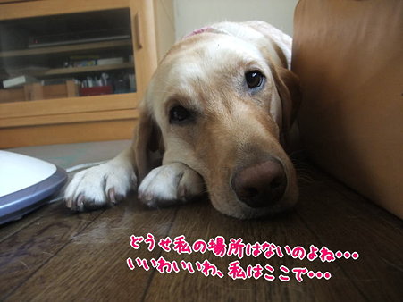 いじける・・・