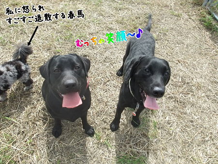 むっちゃ笑顔!