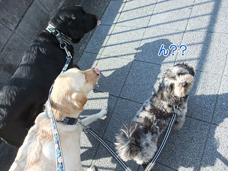 ん??