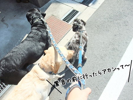 アカン2