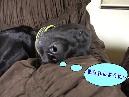 寝言