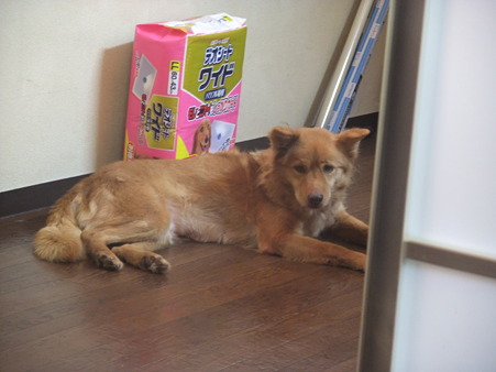 お構いなく・・・