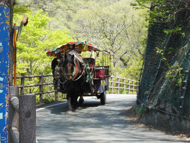 14　トテ馬車