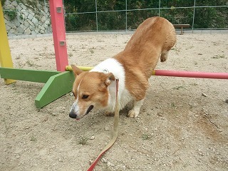 2009_08300013