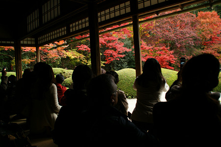 額縁の紅葉、詩仙堂!(101123)