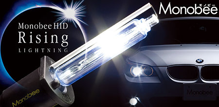 Ｍｏｎｏｂｅｅ