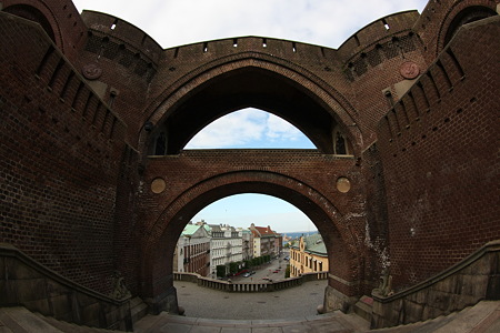 DPP_1513