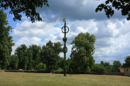 DPP_1541