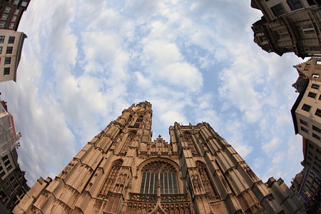 DPP_1674