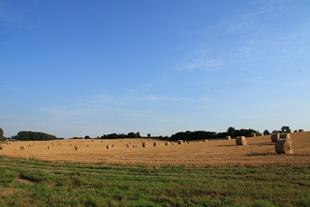 DPP_1723