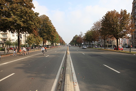 DPP_2198