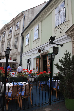 DPP_2505