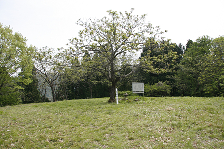 栖吉城 - 06