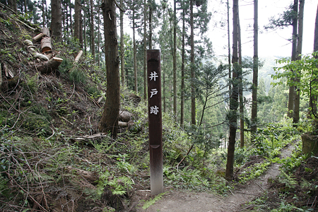 本与板城 - 04