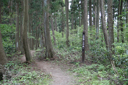 与板城 - 13