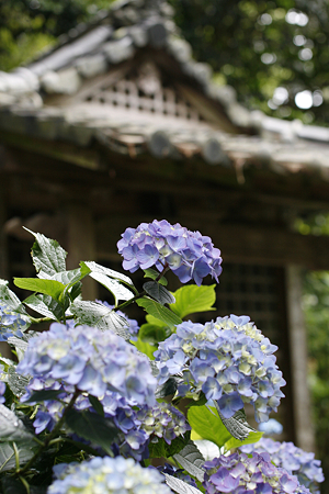 岩船寺 - 14