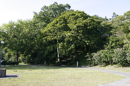 寺池城（登米要害） - 4