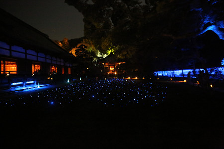 青蓮院 (9)