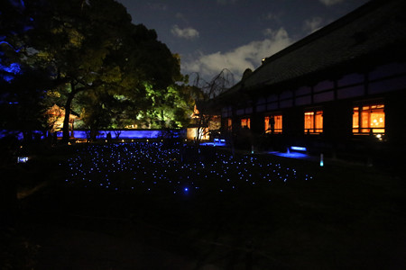 青蓮院 (10)