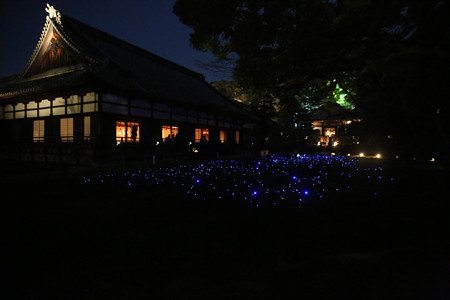 青蓮院 (11)