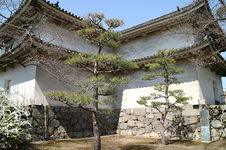 大坂城（大阪城公園） (5)