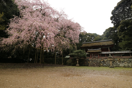 醍醐寺 (14)
