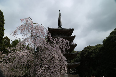醍醐寺 (16)
