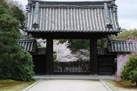 随心院 (4)