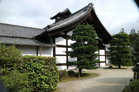 随心院 (6)