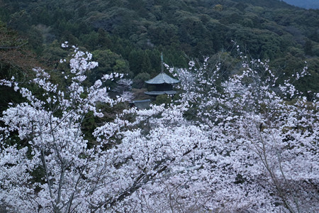 三井寺（園城寺）