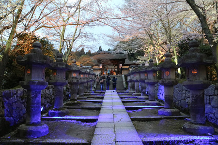 三井寺（園城寺） (4)