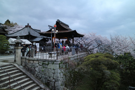 三井寺（園城寺） (9)