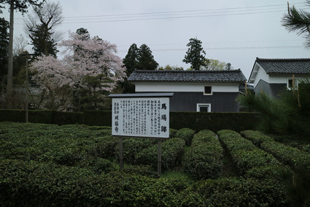 城福寺 (1)